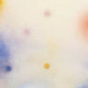 Meet your Posher, Chloe